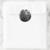 Belgischer Schafhund Runder Aufkleber (Tasche)
