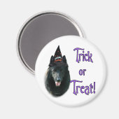 Belgischer Sheepdog Trick Magnet (Vorderseite/Rückseite)