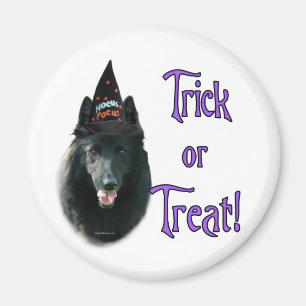 Belgischer Sheepdog Trick Magnet