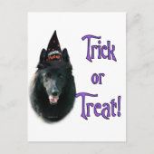 Belgischer Sheepdog Trick Postkarte (Vorderseite)