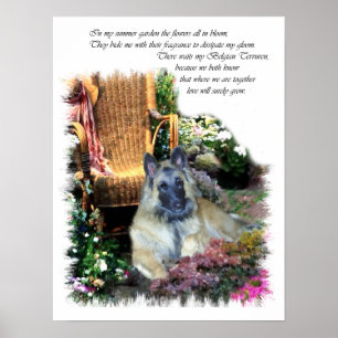 Belgischer Tervuren-Kunstprint Poster