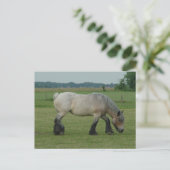 Belgischer Tiefgang auf Rosengräber Postkarte (Stehend Vorderseite)