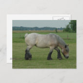 Belgischer Tiefgang auf Rosengräber Postkarte (Vorne/Hinten)