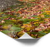 Belgischer Wald in der Herbstsaison Reise Poster (Ecke)