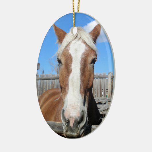 Belgisches Entwurfs-Pferd Keramikornament (Links)