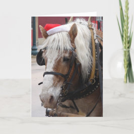 Belgisches Entwurfs-Pferdeweihnachten Feiertagskarte