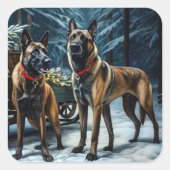 Belgisches Malinoi Snowy Sleigh Weihnachtsdekor Quadratischer Aufkleber (Vorderseite)