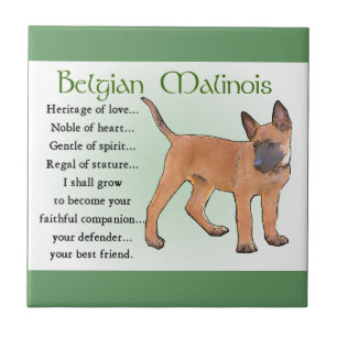 Belgisches Malinois-Erbe der Liebe Fliese