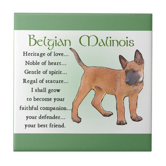 Belgisches Malinois-Erbe der Liebe Fliese (Vorderseite)