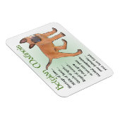 Belgisches Malinois-Erbe der Liebe Magnet (Rechte Seite)