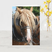 Belgisches Pferd Karte (Gelbe Blume)