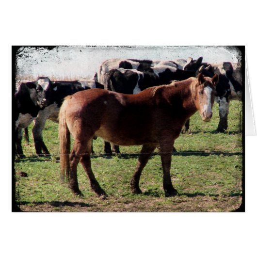 Belgisches Pferd und Milchvieh (Vorderseite (Horizontal))