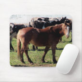 Belgisches Pferd und Milchvieh Mousepad (Mit Mouse)