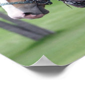 Belgisches Pferdeteam Poster (Ecke)