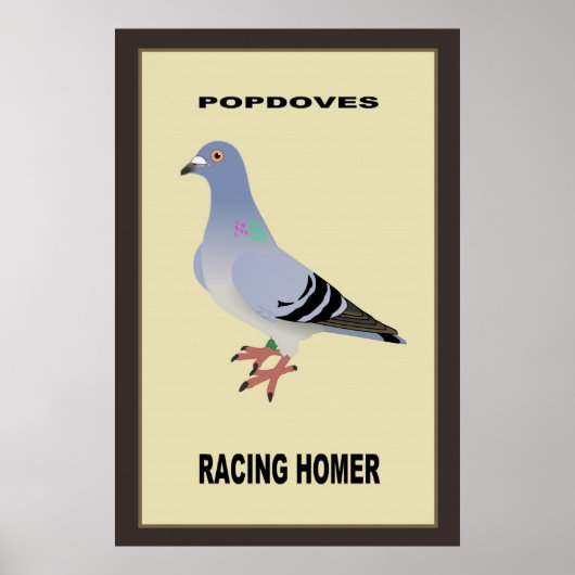 Belgisches Racing Homer Poster (Vorne)
