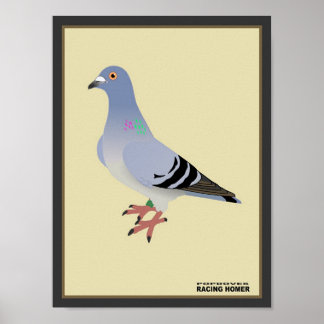 Belgisches Racing Homer Print Poster