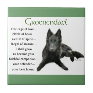 Belgisches Schäferherbe der Liebe Fliese