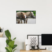 Belgisches Team Poster (Heimbüro)