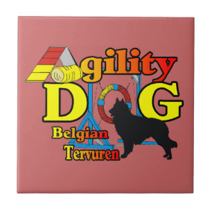 Belgisches Tervuren-Agility Fliese