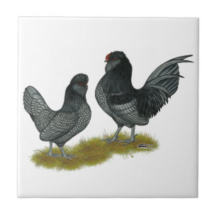 Belgisches Watermaal Bantams Fliese