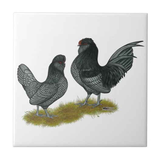 Belgisches Watermaal Bantams Fliese (Vorderseite)