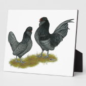 Belgisches Watermaal Bantams Fotoplatte (Seite)