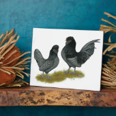 Belgisches Watermaal Bantams Fotoplatte (Seite)