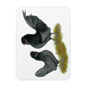 Belgisches Watermaal Bantams Magnet (Vertikal)
