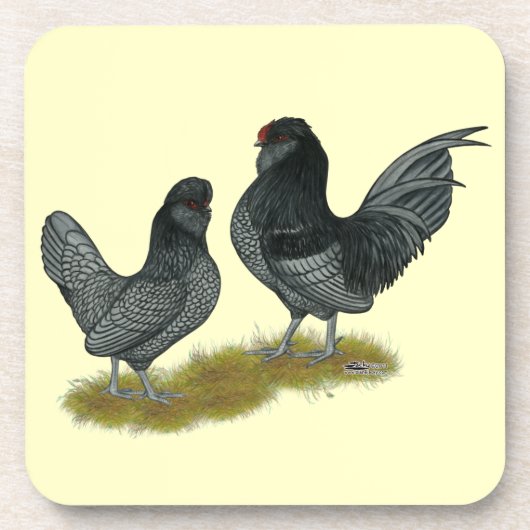 Belgisches Watermaal Bantams Untersetzer (Vorderseite)