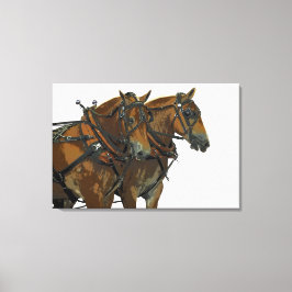 Belgisches Zugpferd-Team auf Leinwand Kunst