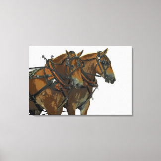 Belgisches Zugpferd-Team auf Leinwand Kunst