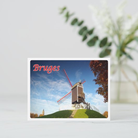 Belgium - Bruges - Moulin - Postkarte (Stehend Vorderseite)