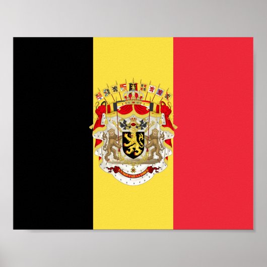 Belgium Flag & COA   Poster (Vorne)