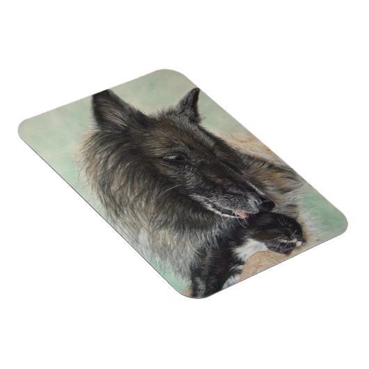 Belgiumshepherdin Magnet (Rechte Seite)