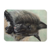Belgiumshepherdin Magnet (Horizontal)