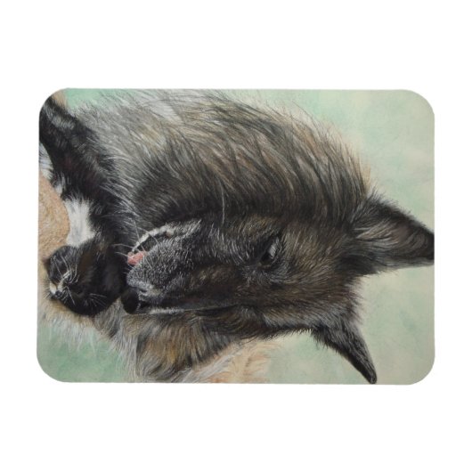 Belgiumshepherdin Magnet (Horizontal)