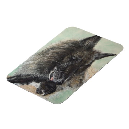 Belgiumshepherdin Magnet (Linke Seite)