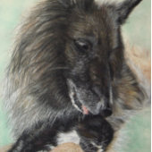 Belgiumshepherdin Puzzle