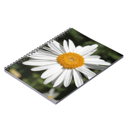 beliebte Blume, hübsche Wildweißaufnahme Notizblock (Linke Seite)