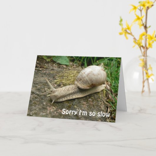 Beliebte Geburtskarte Karte (Gelbe Blume)