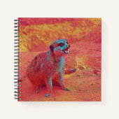 beliebte Tiere - Meerkat Notizblock (Vorderseite)