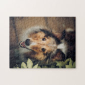 Beliebtes Hunddesign-Geschenk Puzzle (Horizontal)