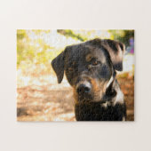 Beliebtes Hunddesign-Geschenk Puzzle (Horizontal)