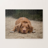 Beliebtes Hunddesign-Geschenk Puzzle (Horizontal)