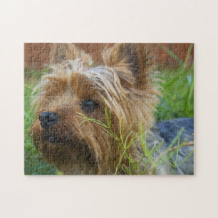 Beliebtes Hunddesign-Geschenk Puzzle