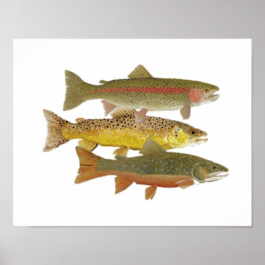 Beliebteste Trout Artwork Poster (Vorne)