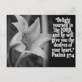 BELIEBTESTES BIBLE SCRIPTURE PSALM 37:4 POSTKARTE (Vorderseite)