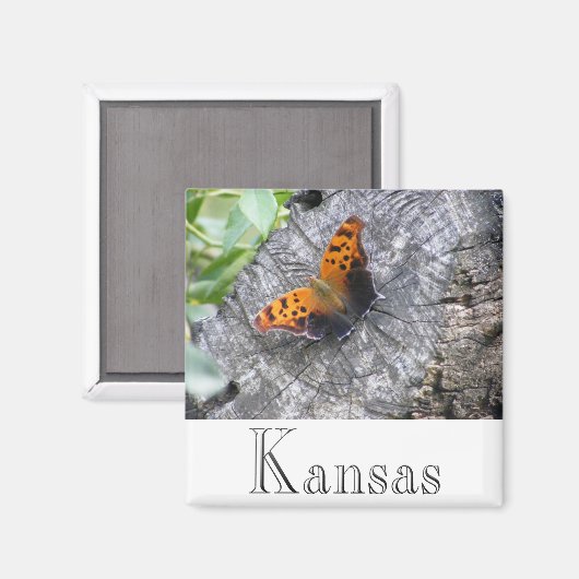 Beliebtheit Magnet (Vorderseite/Rückseite)