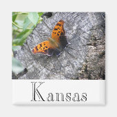 Beliebtheit Magnet (Vorne)