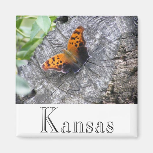 Beliebtheit Magnet (Vorne)